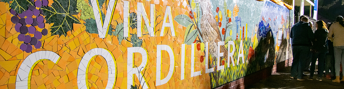 Conoce el nuevo mosaico de Puente Alto.